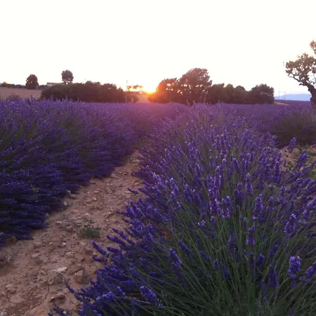 Hotel Le Petit Caboulot En Pleine Nature 2*